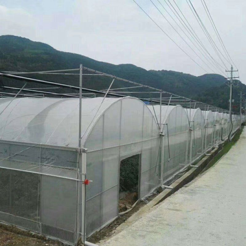 五大連池外遮陽連棟大棚