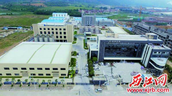 瀚和（高要）精細化工產業基地 優質高效服務助力企業建設快馬加鞭